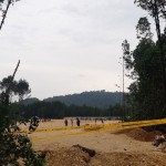 Hutan mangrove-1689066721