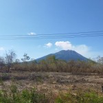 Ilustrasi - Lahan kering di Lewoleba, Kabupaten Lembata, NTT. ANTARA/Fransiska Mariana Nuka-1689934649