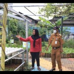 kampung iklim-1688612429