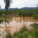 Kondisi lahan-1689408464