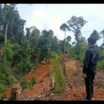 Lahan-1689582177