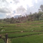Lampung-1689660939