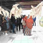 musium-1688796144
