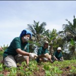 Pemberdayaan masyarakat oleh PT Vale melalui pertanian organik. (ANTARA/HO-Vale Indonesia)-1689243272