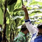 petani-1689165810