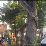 RTH-1689155845