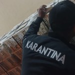 Satwa-1690200325
