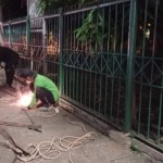 Tamhut-1690458972