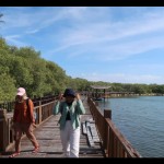 Wisatawan-1689248148