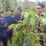 Agronomis LDC-1691034772