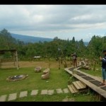 Desa wisata-1691575030