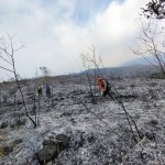 Kondisi kawasan Gunung Arjuno yang masuk di wilayah Kabupaten Malang, Jawa Timur, usai tim gabungan melakukan pemadaman. (ANTARA/HO-BPBD Kabupaten Malang)-1693209461
