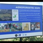 Kopi-1692074522