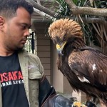 Panji Petualang-1691764824