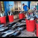 Pasar ikan-1691992589