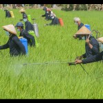 Petani-1692692363