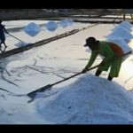 Produksi garam-1692798296