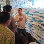 Pupuk-1692000958