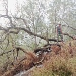 Taman Nasional Gunung Rinjani-1691645047