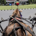 Wisata Unik Ala Magelang-1692964322