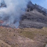 Bromo-1693813677