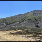 Bromo-1695297302