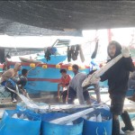Ikan-1693559181