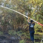 Ilustrasi - petugas memadamkan api saat terjadi karhutla di Kabupaten Penajam Paser Utara (FOTO ANTARA / HO Pusdalops Kabupaten PPU)-1694430847