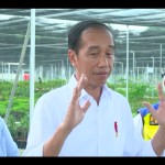 Joko Widodo-1695277954
