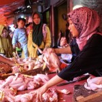 lampung-1694169826