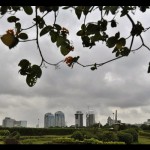 Monas-1694742465