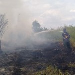 Petugas-1695371026