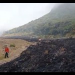 tim gabungan-1695051928