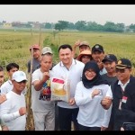 Dinas KPKP DKI promosikan diversifikasi pangan kepada masyarakat-1697092704