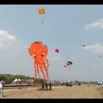 Festival-1696661322