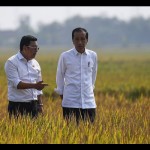 jokowi-1696837811