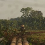 Petani-1697789608