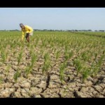 Sawah-1696910558