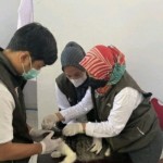Sulbar vaksinasi 1.881 hewan penular rabies-1697008076