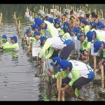 TransJakarta gandeng aneka mitra tanam mangrove di pesisir DKI-1697007028