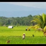 Bengkulu-1699957400