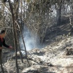 BPBD: 46 hektare lahan di lereng Gunung Kawi terdampak kebakaran-1699518865