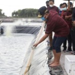 Kalteng bangun tambak udang bantu pemenuhan target produksi nasional-1701060389