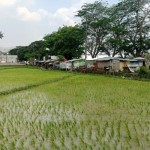 Lahan-1699863550