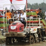 Kementan siapkan 50 ribu hektare lahan rawa jaga produktivitas-1703072909