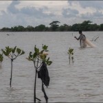 Nelayan di Sukabumi diterkam buaya saat menjala ikan di Situ Habibi-1701558992