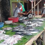 pedagang-1702005572