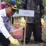 Pj Bupati Kolut Sukanto Toding saat menanam bawang merah di Kecamatan Ranteangin, Kabupaten Kolut. (Antara/HO-Pemda Kolut)-1702460448