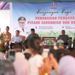 Pj Gubernur Sulsel ajak dongkrak kesejahteraan dengan tanam pisang-1701832771