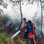 BMKG deteksi 32 titik panas di Kaltim-1704178974